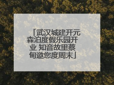 武汉城建开元森泊度假乐园开业 知音故里蔡甸邀您度周末