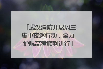武汉消防开展周三集中夜巡行动，全力护航高考顺利进行