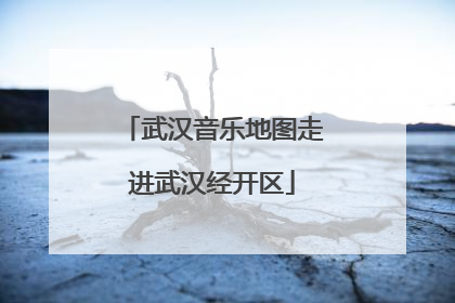 武汉音乐地图走进武汉经开区