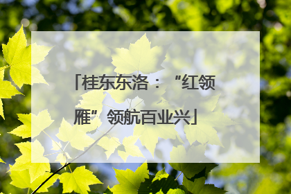 桂东东洛：“红领雁”领航百业兴