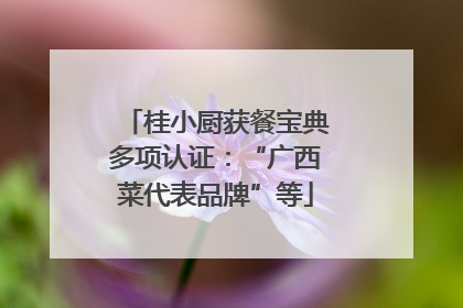桂小厨获餐宝典多项认证：“广西菜代表品牌”等
