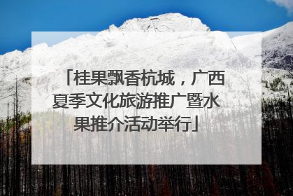 桂果飘香杭城，广西夏季文化旅游推广暨水果推介活动举行