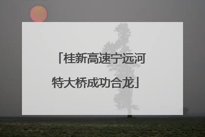 桂新高速宁远河特大桥成功合龙