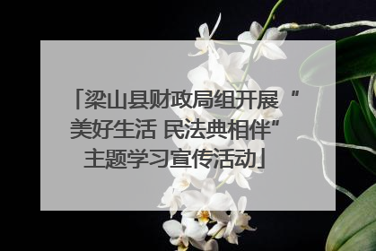 梁山县财政局组开展“美好生活 民法典相伴”主题学习宣传活动
