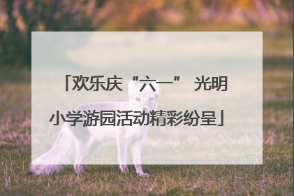 欢乐庆“六一” 光明小学游园活动精彩纷呈