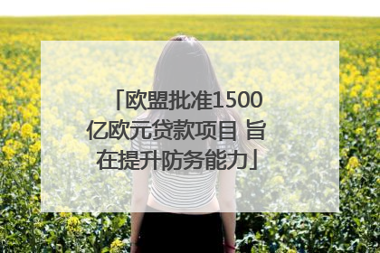 欧盟批准1500亿欧元贷款项目 旨在提升防务能力