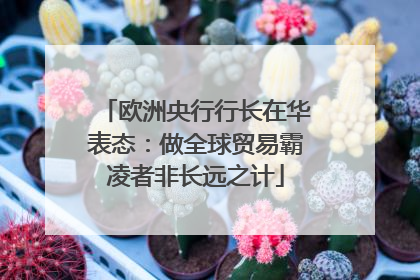 欧洲央行行长在华表态：做全球贸易霸凌者非长远之计