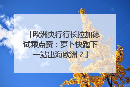欧洲央行行长拉加德试乘点赞：萝卜快跑下一站出海欧洲？