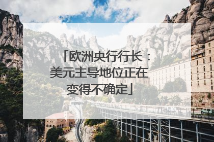 欧洲央行行长：美元主导地位正在变得不确定