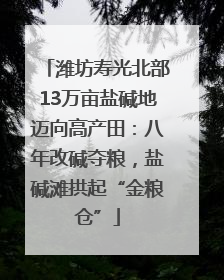潍坊寿光北部13万亩盐碱地迈向高产田：八年改碱夺粮，盐碱滩拱起“金粮仓”