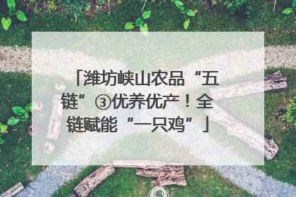 潍坊峡山农品“五链”③优养优产！全链赋能“一只鸡”
