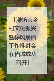 潍坊市乡村文化振兴暨移风易俗工作推进会在诸城成功召开