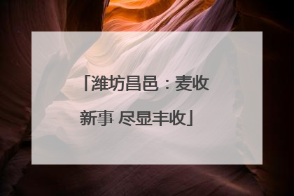 潍坊昌邑：麦收新事 尽显丰收
