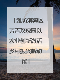 潍坊滨海区芳青玫瑰园以农业创新激活乡村振兴新动能