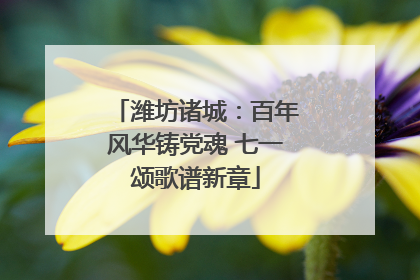 潍坊诸城：百年风华铸党魂 七一颂歌谱新章
