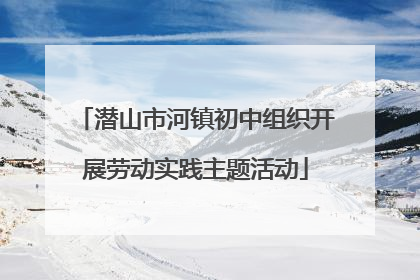 潜山市河镇初中组织开展劳动实践主题活动