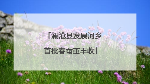 澜沧县发展河乡首批春蚕茧丰收