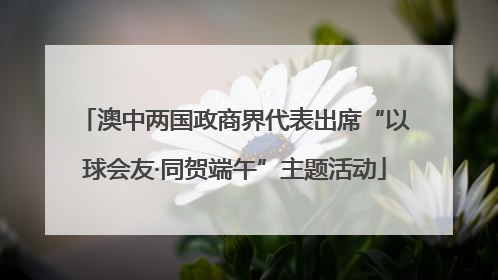 澳中两国政商界代表出席“以球会友·同贺端午”主题活动