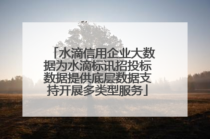 水滴信用企业大数据为水滴标讯招投标数据提供底层数据支持开展多类型服务