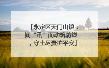 永定区天门山镇：闻“汛”而动筑防线，守土尽责护平安