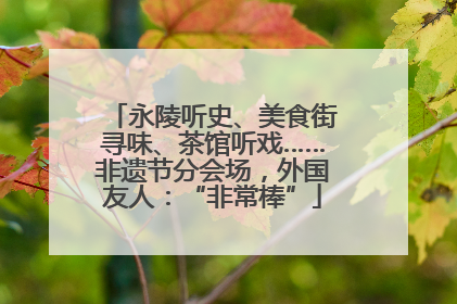 永陵听史、美食街寻味、茶馆听戏……非遗节分会场，外国友人：“非常棒”