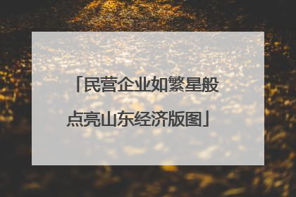民营企业如繁星般点亮山东经济版图