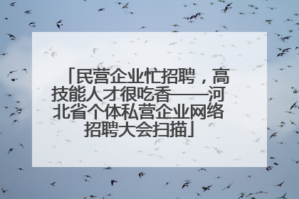 民营企业忙招聘，高技能人才很吃香——河北省个体私营企业网络招聘大会扫描