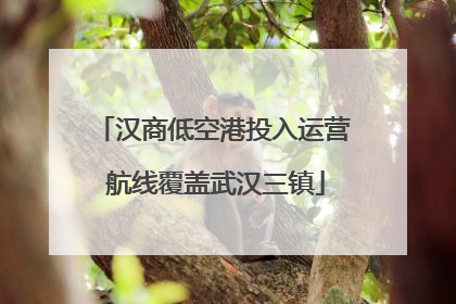 汉商低空港投入运营 航线覆盖武汉三镇