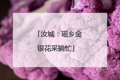 汝城：瑶乡金银花采摘忙