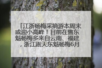 江浙杨梅采摘游本周末或迎小高峰！目前在售东魁杨梅多来自云南、福建，浙江露天东魁杨梅6月中旬大量上市