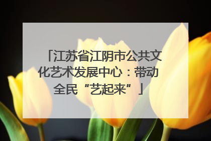 江苏省江阴市公共文化艺术发展中心：带动全民“艺起来”