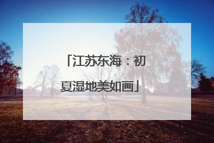 江苏东海：初夏湿地美如画