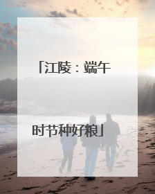 江陵：端午时节种好粮