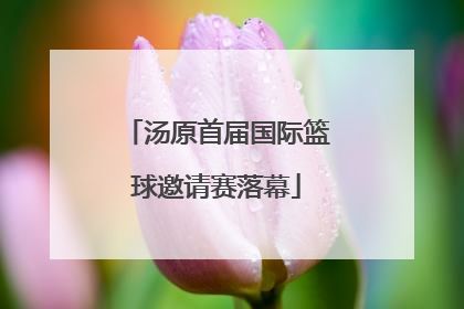 汤原首届国际篮球邀请赛落幕