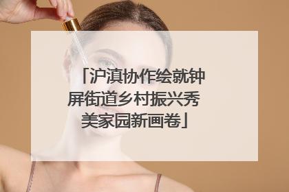 沪滇协作绘就钟屏街道乡村振兴秀美家园新画卷