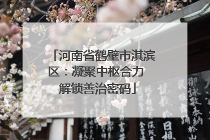 河南省鹤壁市淇滨区：凝聚中枢合力 解锁善治密码