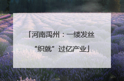 河南禹州：一缕发丝“织就”过亿产业
