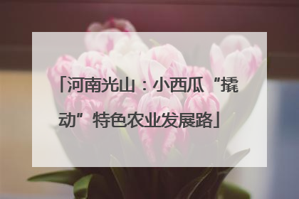 河南光山：小西瓜“撬动”特色农业发展路