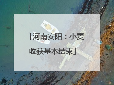 河南安阳：小麦收获基本结束