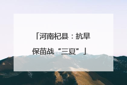 河南杞县：抗旱保苗战“三夏”