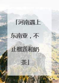 河南遇上东南亚，不止榴莲和奶茶