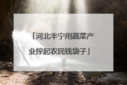 河北丰宁用蔬菜产业撑起农民钱袋子