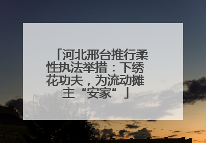 河北邢台推行柔性执法举措：下绣花功夫，为流动摊主“安家”