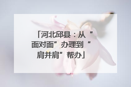 河北邱县：从“面对面”办理到“肩并肩”帮办