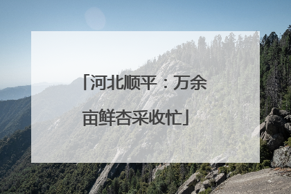 河北顺平：万余亩鲜杏采收忙