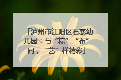 泸州市江阳区石寨幼儿园：与“粽”“布”同，“艺”样精彩