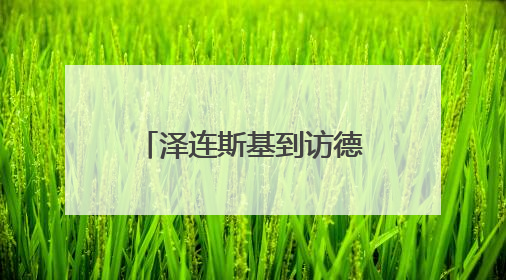 泽连斯基到访德国要来了什么