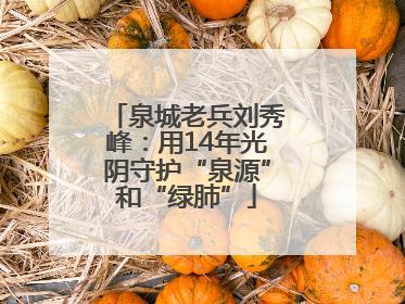 泉城老兵刘秀峰：用14年光阴守护“泉源”和“绿肺”