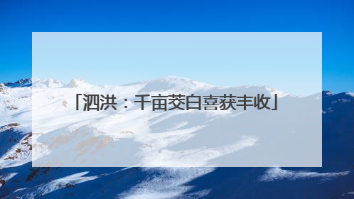 泗洪：千亩茭白喜获丰收