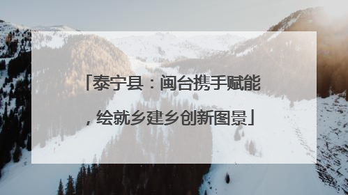 泰宁县：闽台携手赋能，绘就乡建乡创新图景